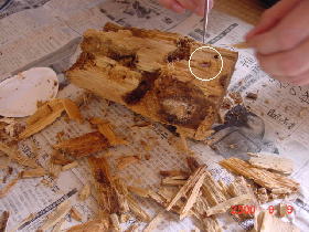 ����I�I�N���K�^000909e