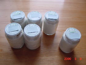 ����I�I�N���K�^000909k